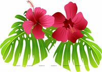 Tropical Flowers flamingo