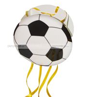 Football birthday theme Pinata