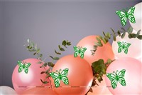 Green and White Butterfly Party Decor Stickers- 1 Set