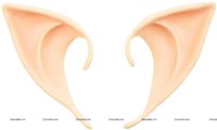 Elf Ears