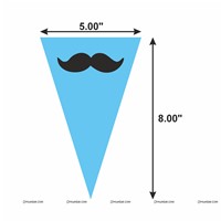 Little Man theme Flag Buntings (10ft)