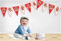 Teddy Theme Triangle Bunting (10 ft)