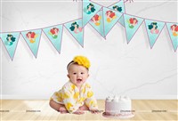 Mermaid Theme Triangle Bunting (10 ft)